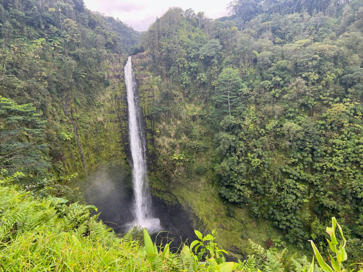 A lush Hawaiian waterfall surrounded by tropical greenery