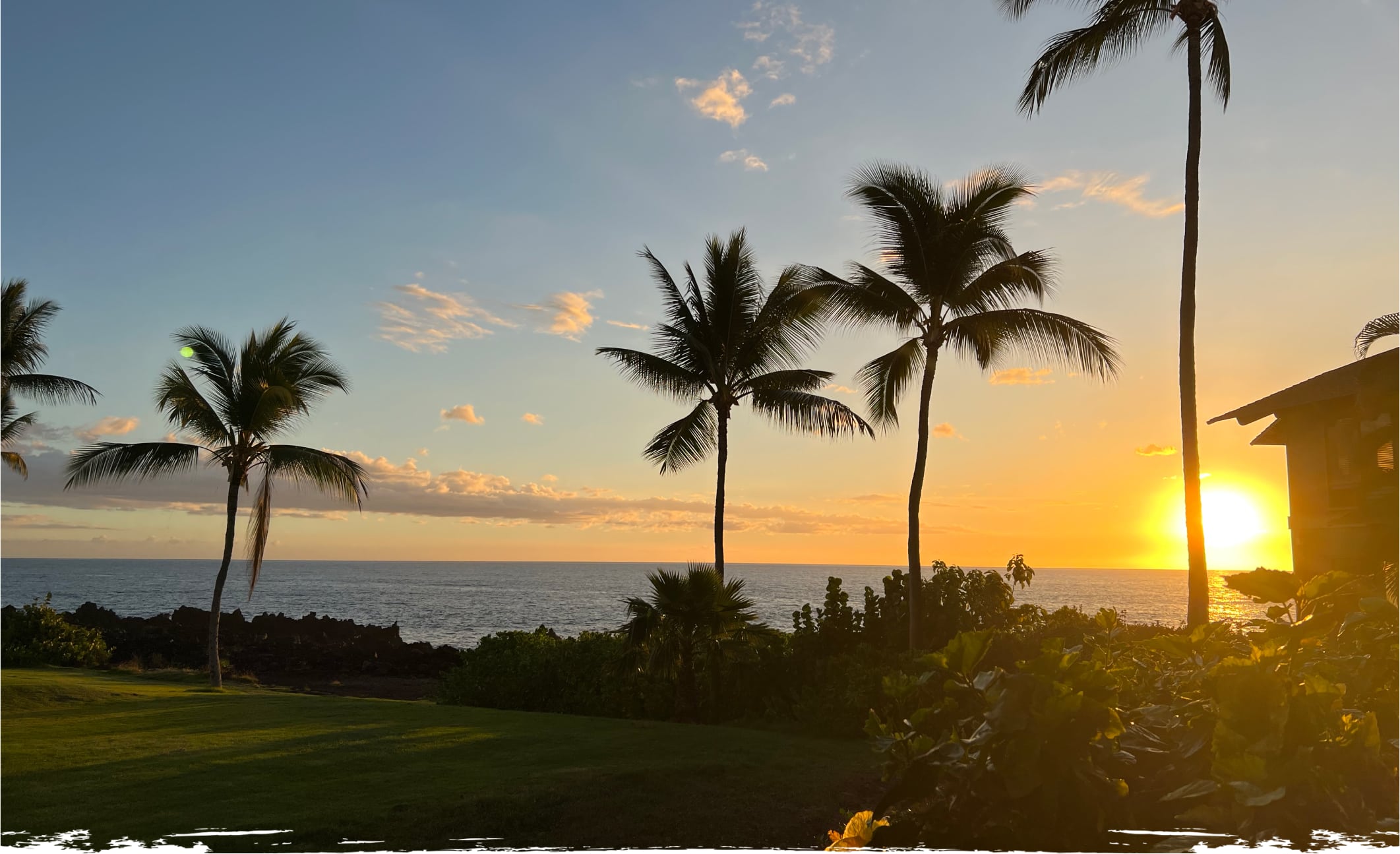 Palm trees and a sunset over the ocean