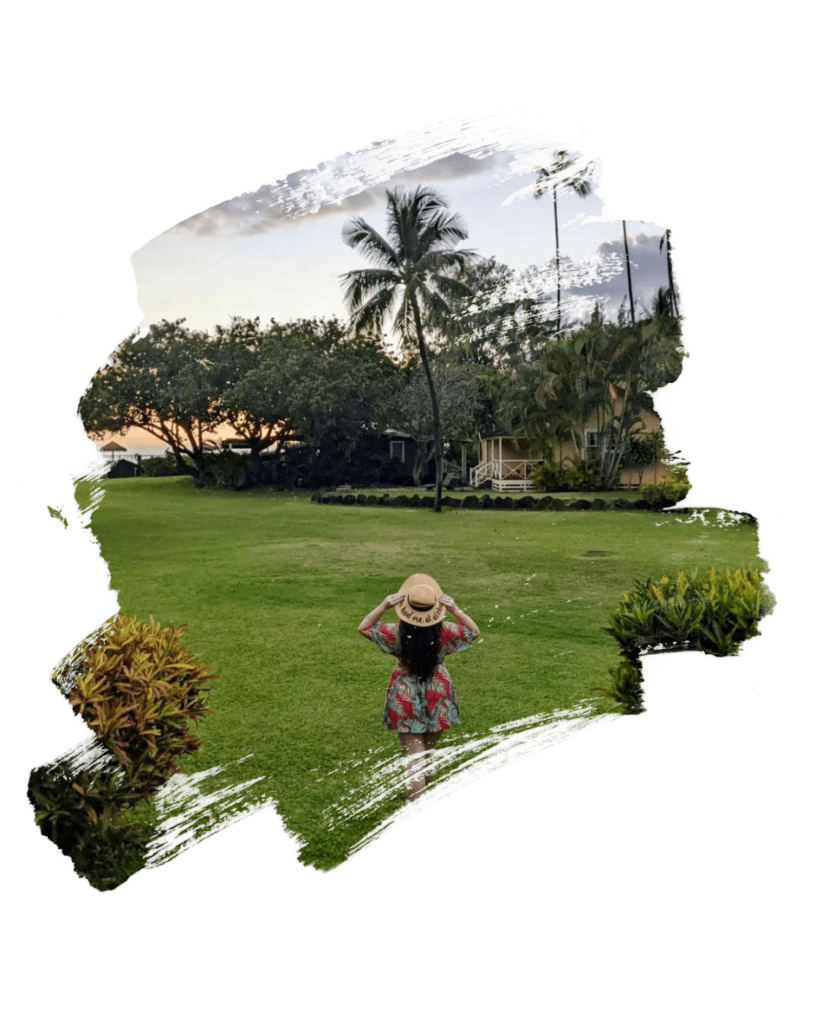 Hawaiian Island Travel Agent 2